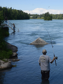 Gentleman fly fishing on the kenai river
